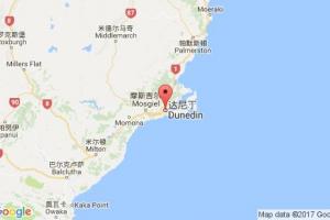 達尼丁港口查詢_dunedin港口代碼_新西蘭達尼丁港口代碼
